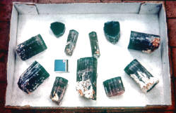 Flat with freshly mined “blue-cap” tourmaline crystals. 