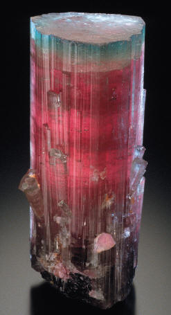 Tourmaline crystal, 10.6 cm tall.