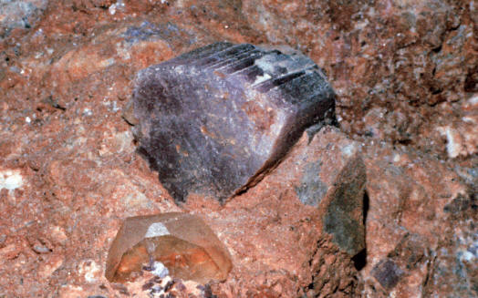 Pocket found in 1974 photographed in situ, note big morganite crystal along with tourmalines. 