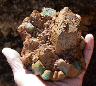 Same specimen still in situ in the pocket (upside down above screwdriver termination) and in hand. Ch. Borland photo.