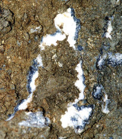 Unique photo showing benitoite-rich natrolitevein in situ. Collector’s Edge photo.
