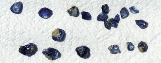 Bryan Lees watching for specimens and gem rough on conveyor belt. Next step was hand sorting gem crystals and fragments after washing. Last photo shows freshly collectedgem rystals. Collector’s Edge photos.