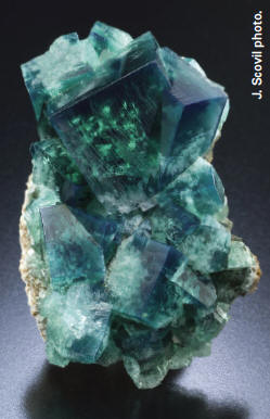 Fluorite, 7 cm high, from Blue Bell Pocket, Rogerley mine. Photographed in daylight. Spirifer collection.