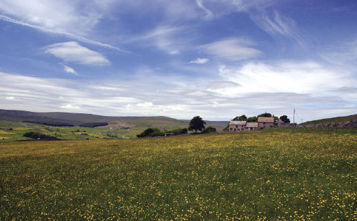 Weardale landscape. J. Fisher photo.