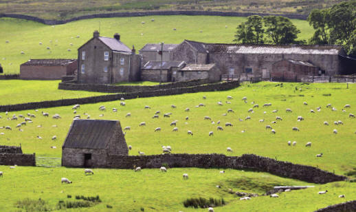 GaWeardale landscape. J. Gajowniczek photo.