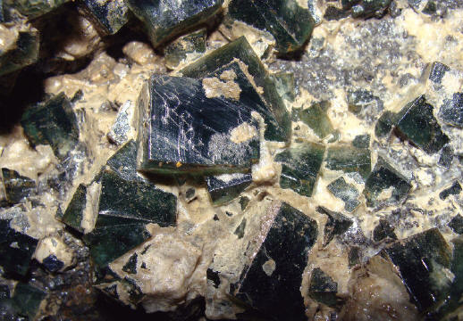 Fluorite crystals in situ in the Black Sheep Pocket. R. Brandstteter photo.