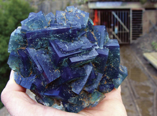 Freshly collected fluorite from the Rat Hole Pocket with very strong blue daylight fluorescence,12.5 cm wide. R. Brandstetter collection and photo.