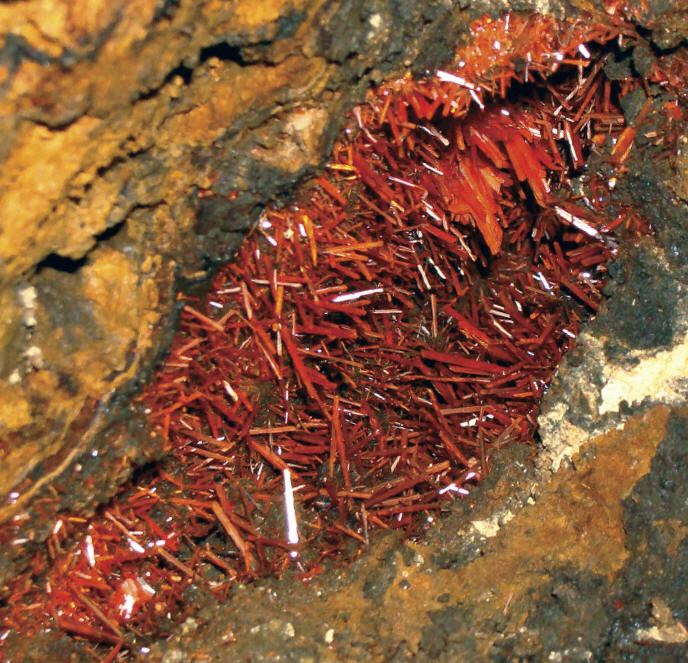 Fragment of 2010 Pocket with deep red crystals of crocoite still in situ, view about15 cm. A. Wright photo.