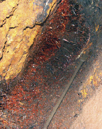 Fragment of 2010 Pocket with clean crystals of crocoite and part where crystals are covered by coating of black Fe-Mn oxides. A. Wright photo.