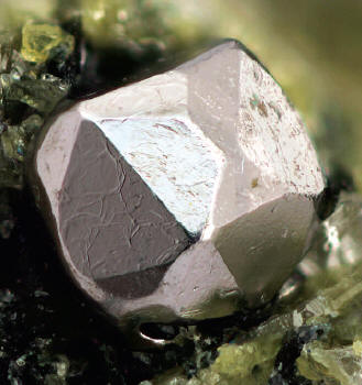 Sperrylite crystal in epidote matrix, crystal 1.2 mm wide. D. Joyce specimen. J. Jaszczak photo.