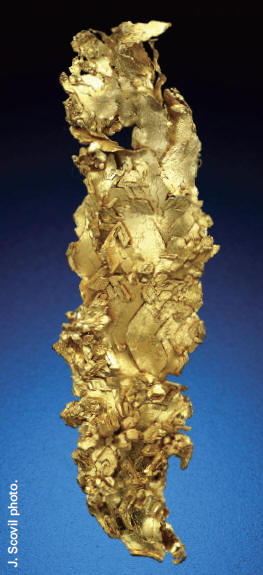 Crystalized gold from Round Mountainmine. Size 6.8 cm. Spirifer collection.