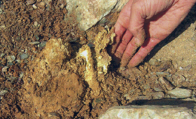 Crystallized gold in situ after blasting. Kinross photo.