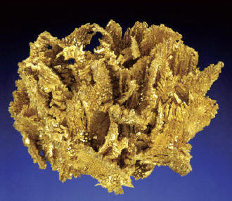 Twinned gold crystals forming casts after calcite. Size 5 cm. Ex Miner’s Lunchbox, now in private collection. J. Scovil photo.