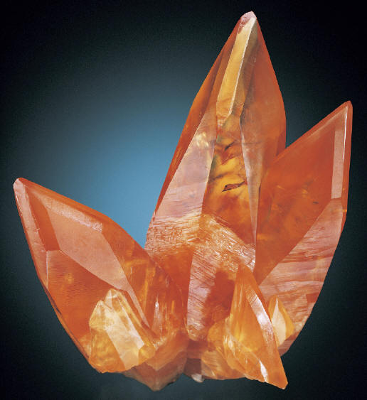 Iconic calcite specimen from the Butterfly Pocket, 13.6 cm high. P. Lyckberg specimen. J. Scovil photo.