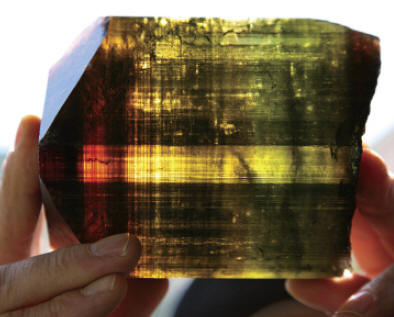 An 11 cm crystal of multicolor liddicoatite from Estatoby. M. Oleszczuk collection. F. Pezzotta photo.