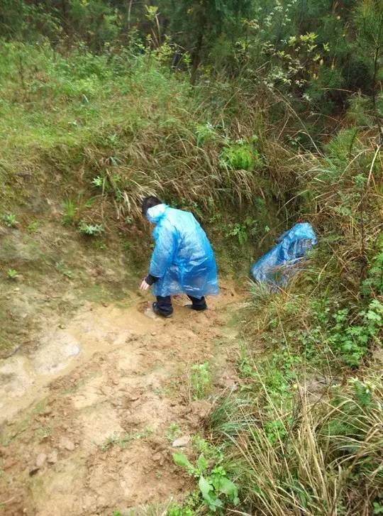 寻找湘西三叶虫之“湘西虫”,化石