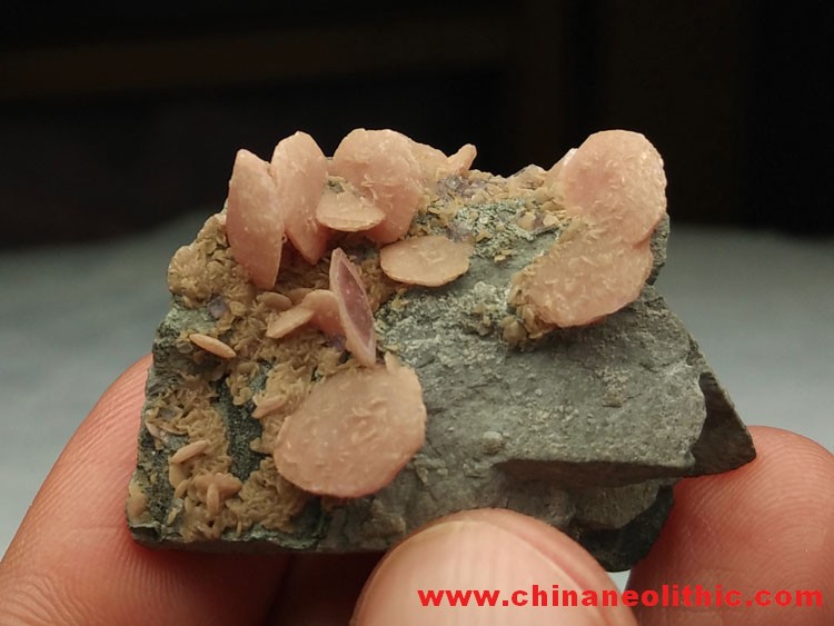The typical petals flake Rhodochrosite Rhodocroshite gem mineral crystal stone ore samples,Rhodochrosite