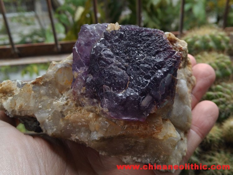 Fujian purple fluorite eight face large crystals and garnet mineral gem stone ore samples,Fluorite