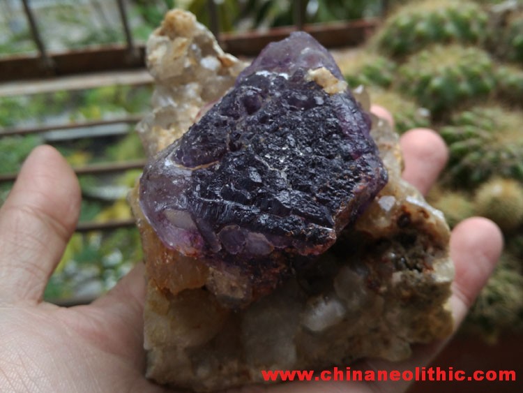 Fujian purple fluorite eight face large crystals and garnet mineral gem stone ore samples,Fluorite