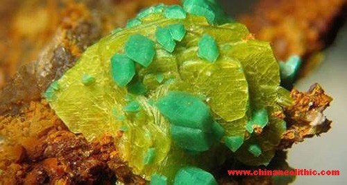 Carry 1 pounds of uranium ore can live long? Discussion on uranium harm to a person. Autunite,Autunite