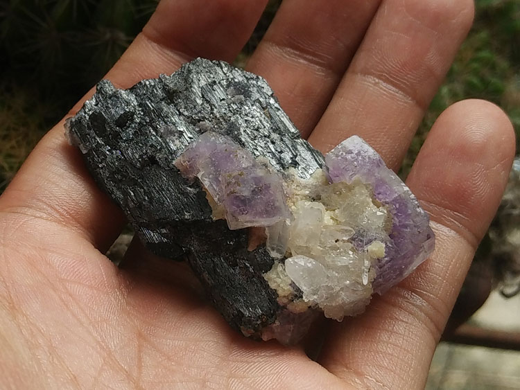 Complete floating Wolframite, fluorite and purple crystal intergrowth mineral specimens,Wolframite,Fluorite