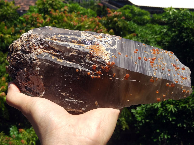 A large smoky Quartz and manganese aluminum garnet mineral crystal gem stone ore samples,Garnet,Quartz