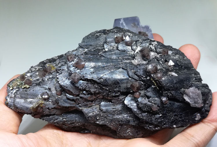 超级大黑钨矿和白钨矿,萤石,水晶,黄铜,云母共生矿物晶体标本