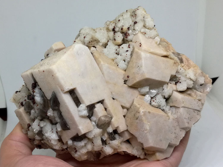The standard of potassium feldspar, albite and garnet，Quartz mineral ore stone specimens,Garnet,Feldspar,Quartz