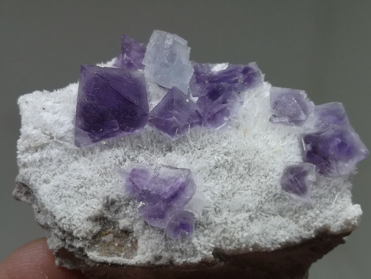 fluorite has two kinds of colours and two kinds of crystal morphology mineral specimens at the same ,Fluorite,Calcite