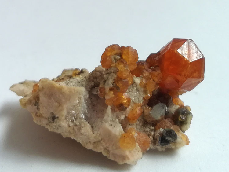 Very prominent orange-red manganese-alumina garnet fendarite crystal mineral specimen gemstone proto,Garnet