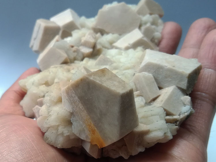 Standard Microcline and Albertite Symbiotic Mineral Crystal Specimens Gemstone Raw Ore Ornamental St,Feldspar