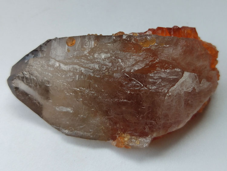 Manganese-aluminum Garnet Spessartine,Smoky Quartz Mineral Specimens Mineral Crystals Gem Materials,Garnet,Quartz